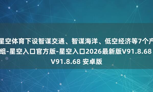 星空体育下设智谋交通、智谋海洋、低空经济等7个产业场景组-星空入口官方版-星空入口2026最新版V91.8.68 安卓版